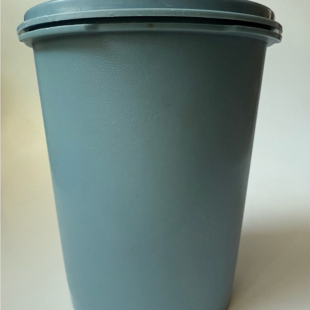 Tupperware Blue Food Storage Container